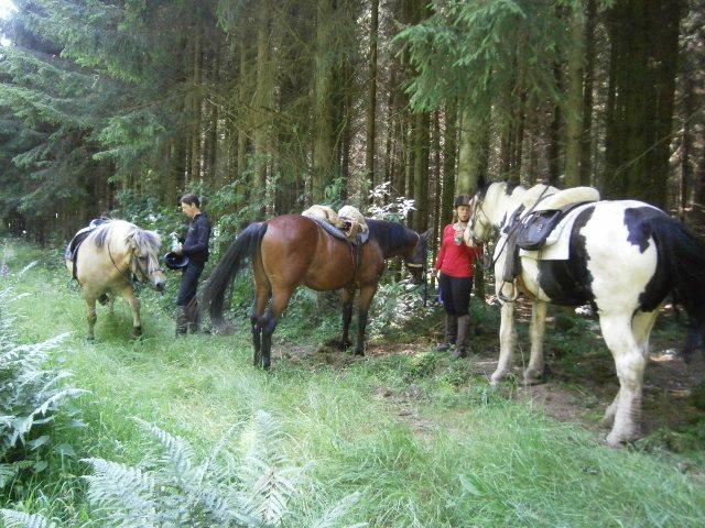 Op ruitervakantie in het mooie Sauerland? 